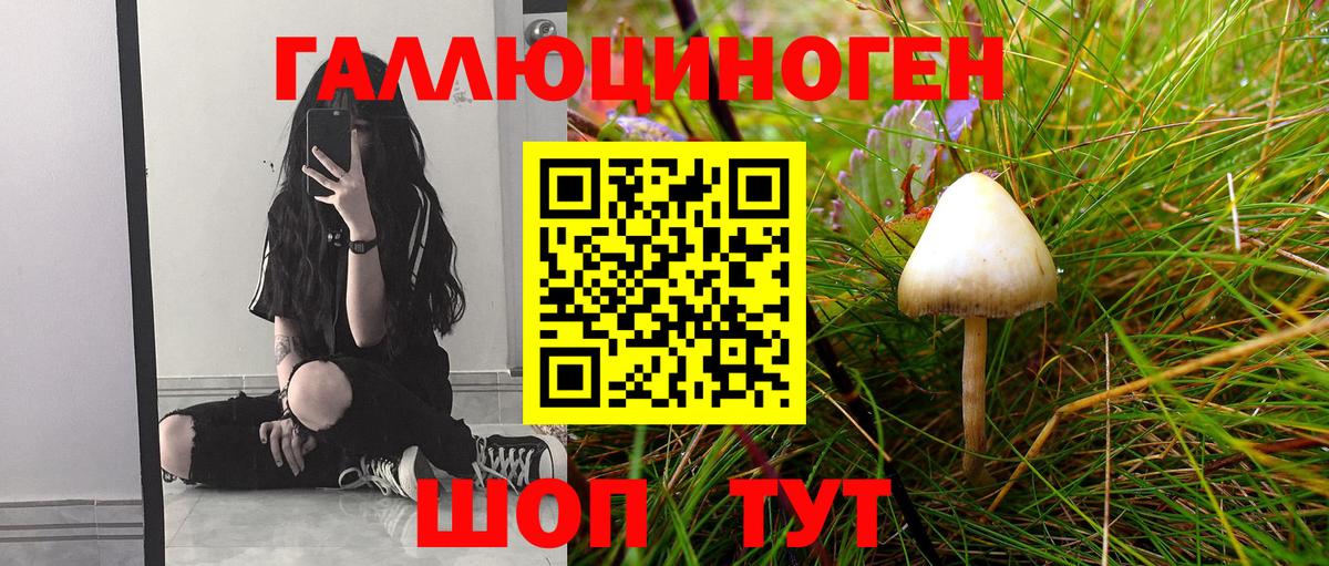 Псилоцибиновые грибы Cubensis  Владимир 