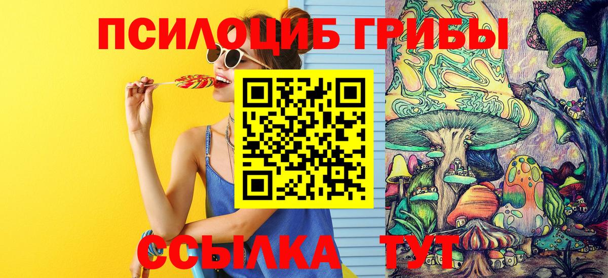 Псилоцибиновые грибы GOLDEN TEACHER  Вход с VPN  Владимир 