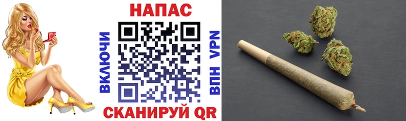 Шишки марихуана SATIVA & INDICA  цены   Владимир 